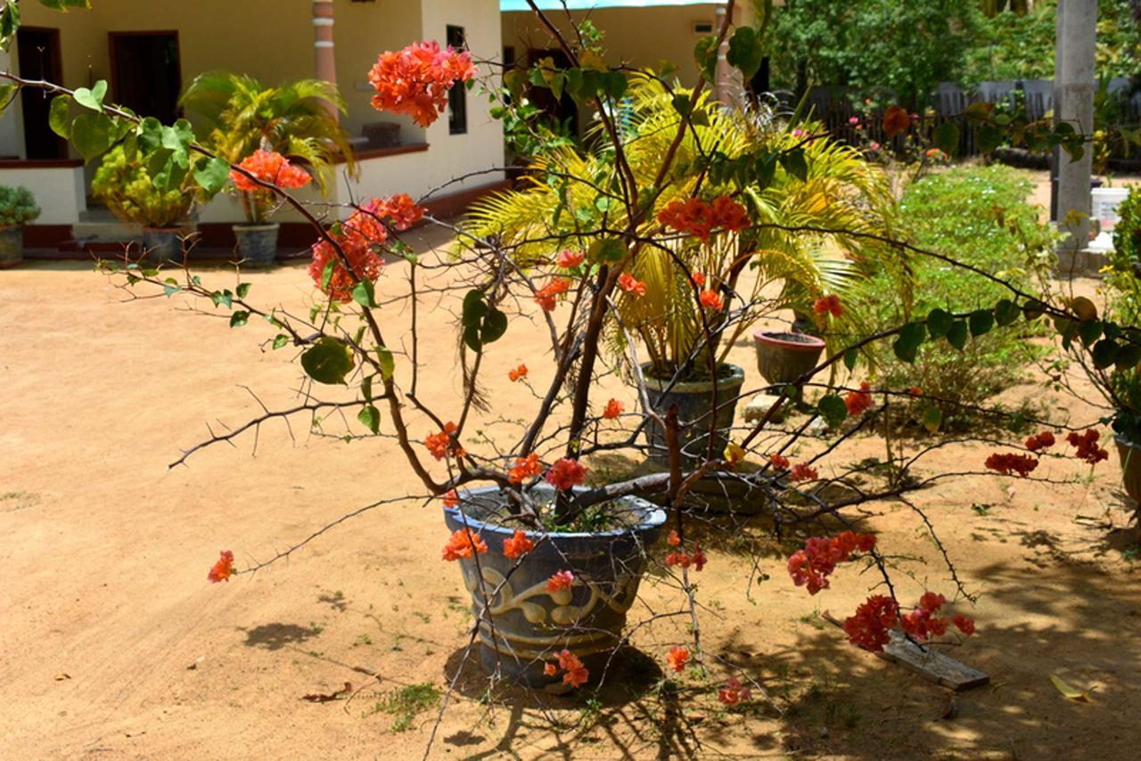Yaswi Guest House Passikudah Zewnętrze zdjęcie